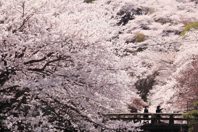 c0196076_235325.jpg