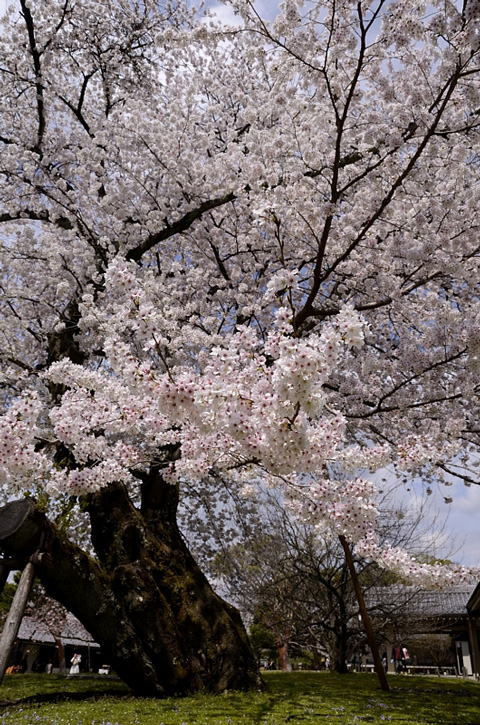 f0108478_1727489.jpg