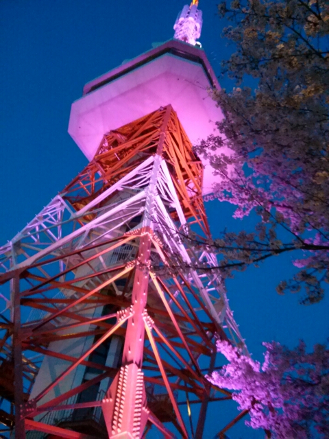 c0096582_1859891.jpg