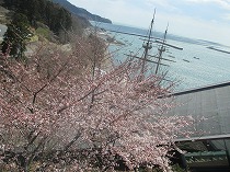 a0142083_21242218.jpg