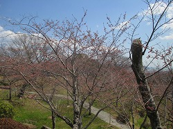 a0142083_2143299.jpg