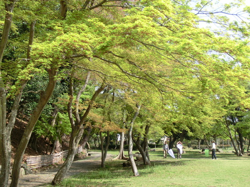 e0123587_1053898.jpg