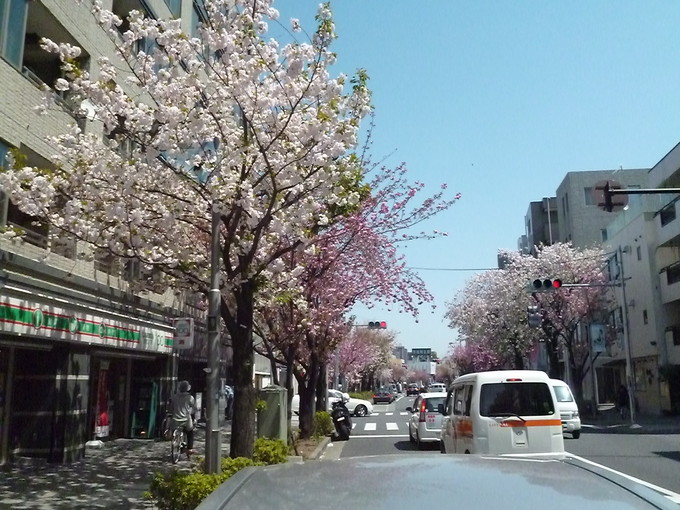 f0305995_0453621.jpg