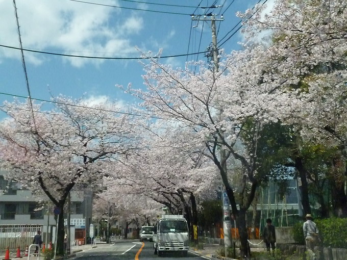 f0305995_0501844.jpg