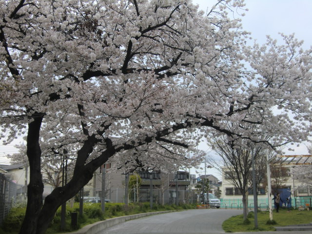 b0044296_21562875.jpg