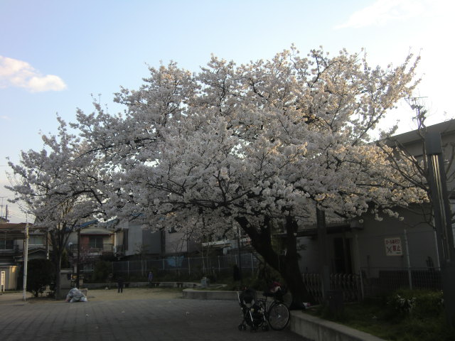 b0044296_21571189.jpg