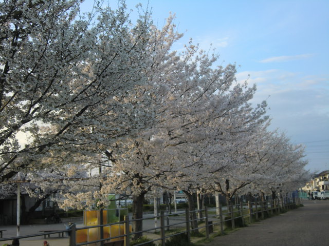 b0044296_21574517.jpg