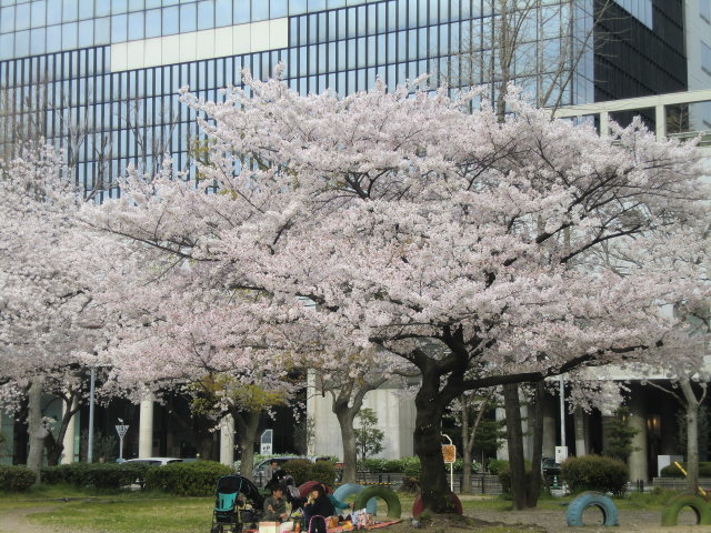 b0044296_21584297.jpg