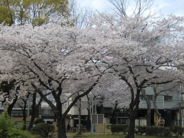 b0044296_226541.jpg