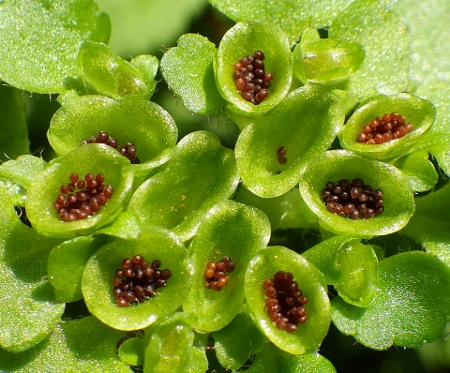 a0125598_21493437.jpg