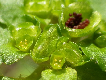 a0125598_21504627.jpg