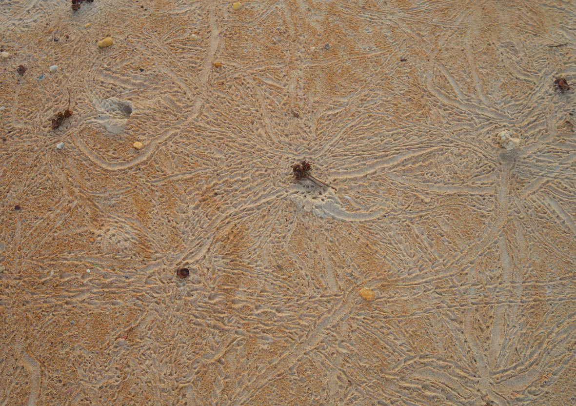 e0064400_14482538.jpg