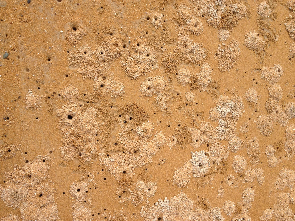 e0064400_14483720.jpg