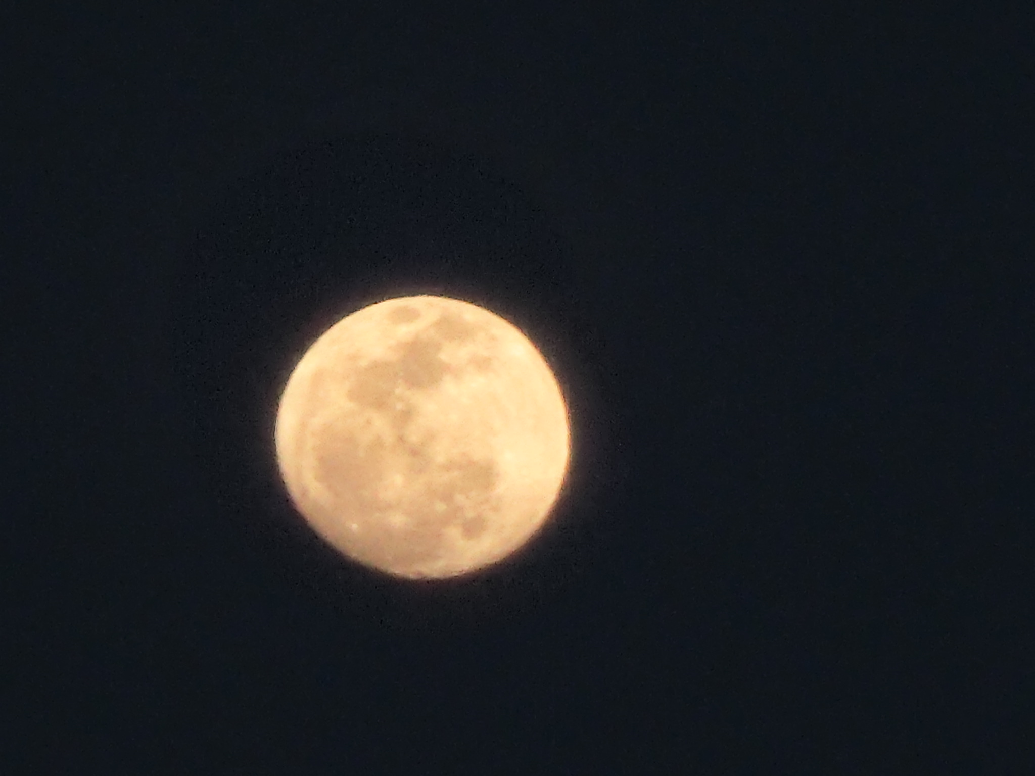 a0203003_19323898.jpg