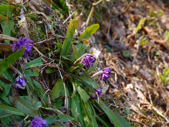 d0027904_20252321.jpg