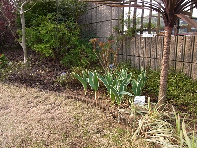 e0138807_07173267.jpg