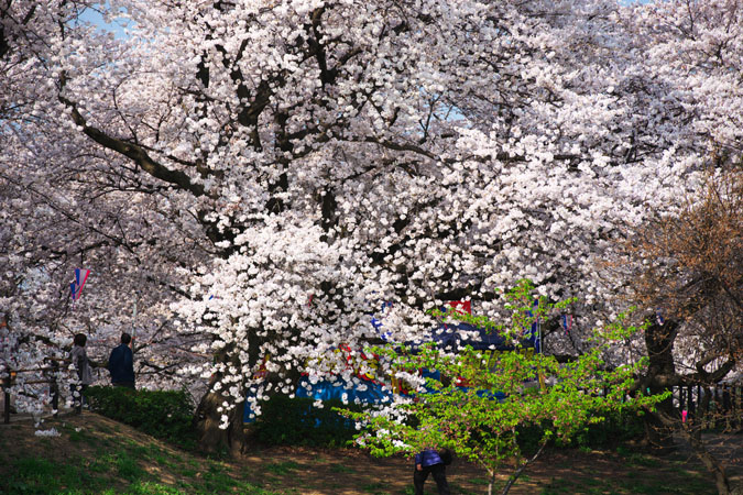 a0263109_849242.jpg