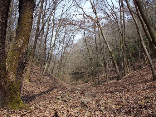 a0164011_21352289.jpg