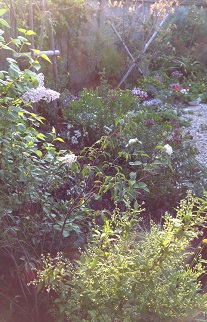 e0233111_114152.jpg