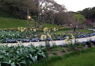 e0233111_1151665.jpg