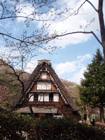 f0043911_1195423.jpg