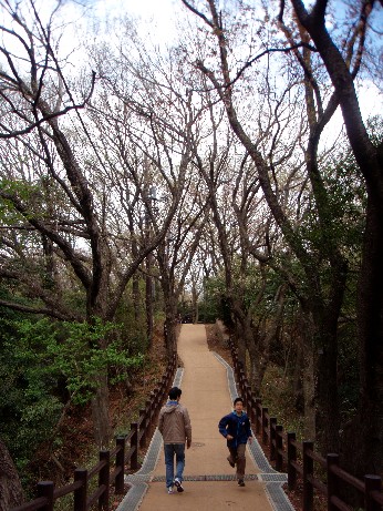 f0043911_1251111.jpg