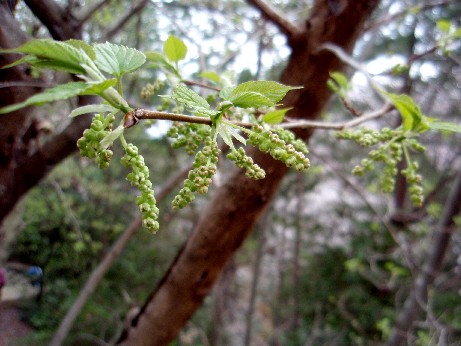 f0043911_1253359.jpg