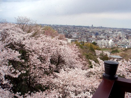 f0043911_1432157.jpg