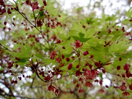 f0043911_2221590.jpg