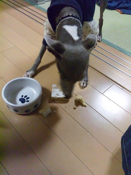 c0003217_22474691.jpg