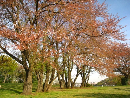 c0084117_19411647.jpg