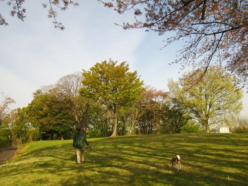 c0084117_19524649.jpg