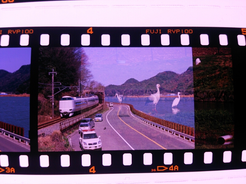 b0310518_21562617.jpg