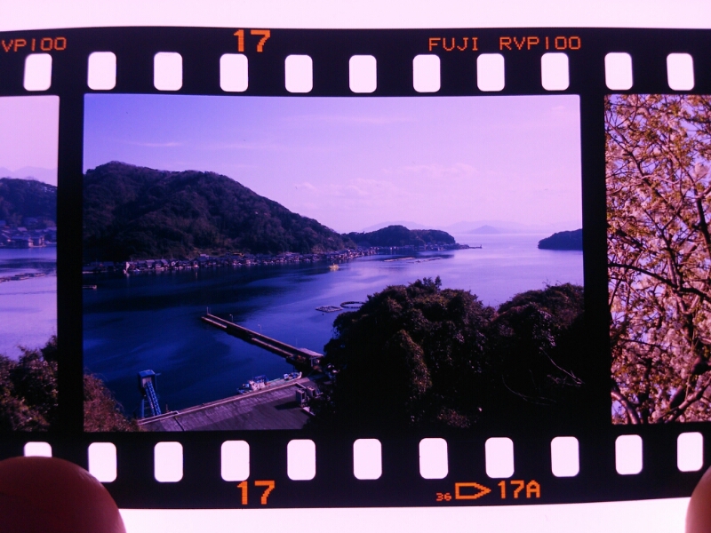 b0310518_22101165.jpg