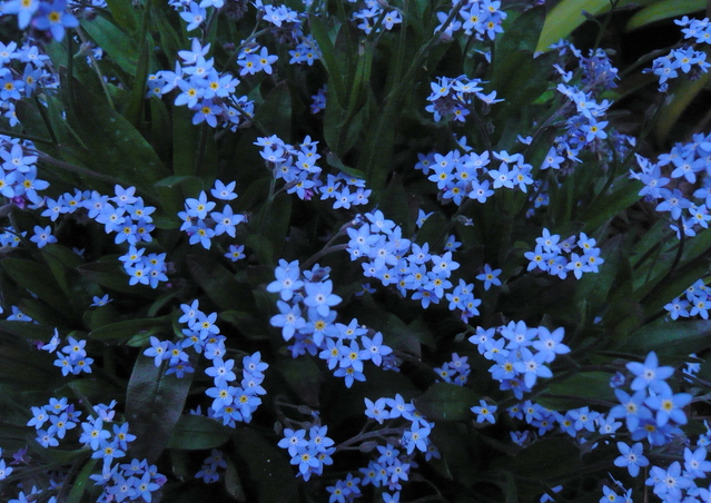 c0076218_1253440.jpg