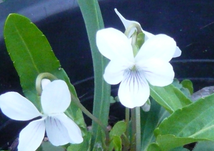 c0076218_275493.jpg