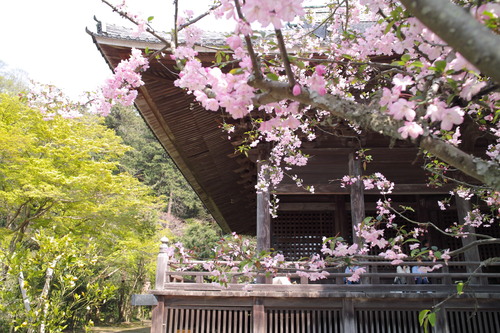 b0285619_100170.jpg