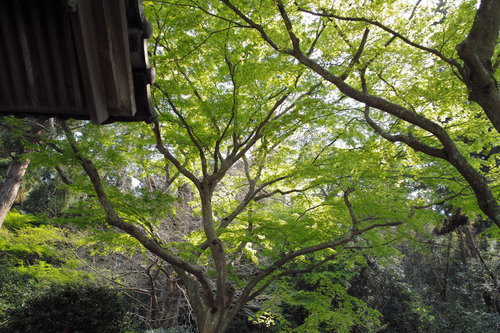 b0285619_9591173.jpg