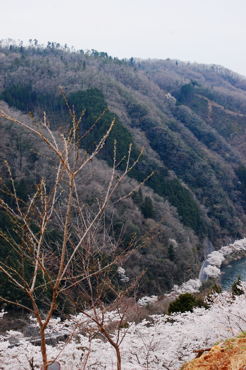 f0248120_1422033.jpg