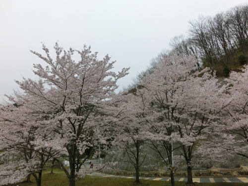 e0179321_20124038.jpg