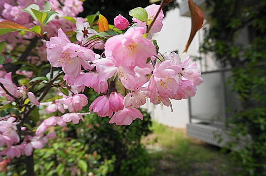 b0068423_1603362.jpg