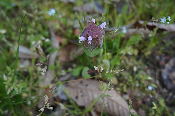 b0068423_16113767.jpg