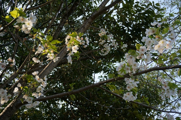 b0068423_1622449.jpg