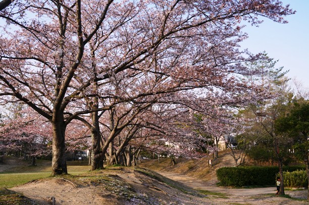 b0068423_16243637.jpg