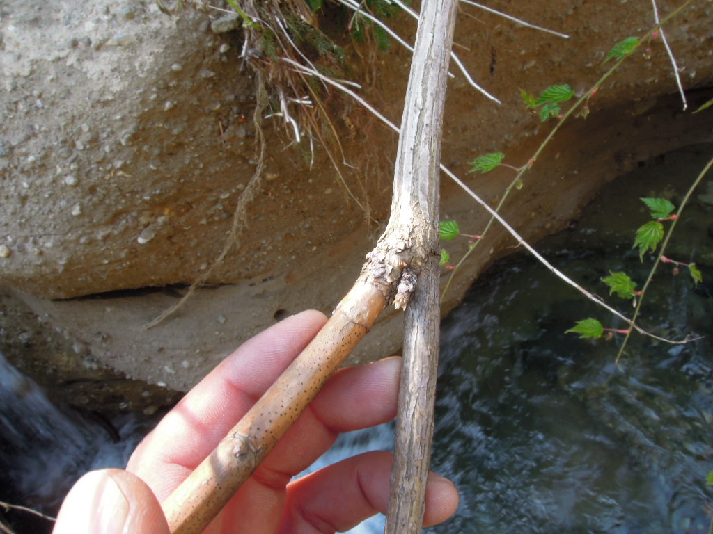 e0147226_215157.jpg