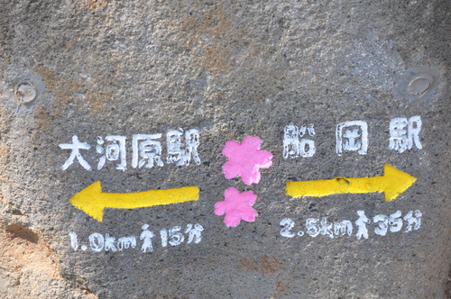 a0248728_22394281.jpg