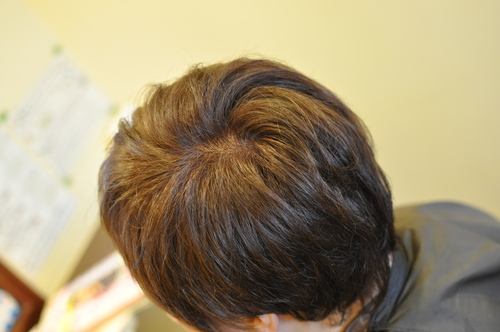 e0254028_8312536.jpg