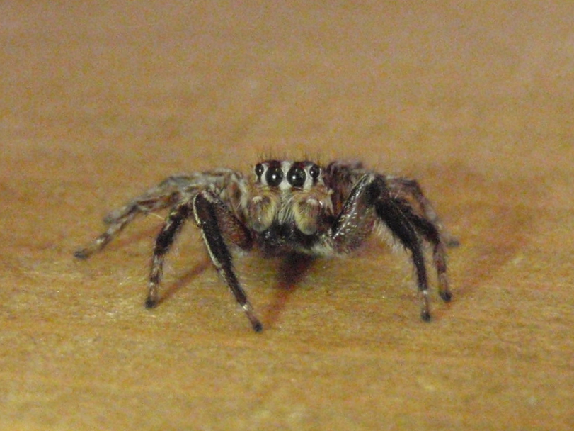 c0034029_726059.jpg