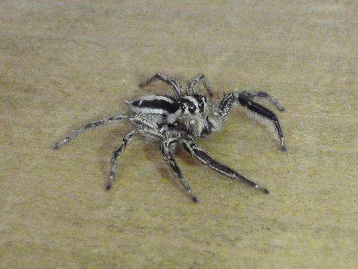 c0034029_726722.jpg