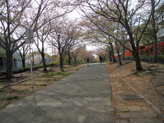 d0059230_10162510.jpg